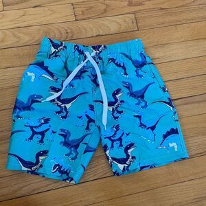 Boys Dinosaur Print Blue swim Shorts size 8t